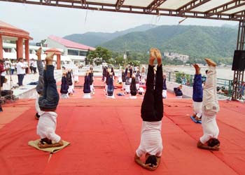 healing-page-yogapose-down-img-3.jpg